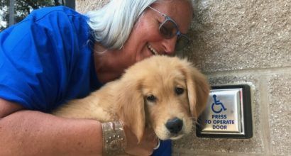 Photo of a cute puppy next to a handicap push button